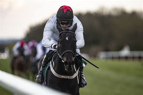 midas racing syndicate|The History of Horse Racing Syndicates .